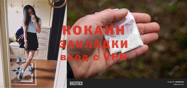 хмурый Аркадак