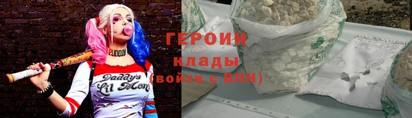 хмурый Аркадак