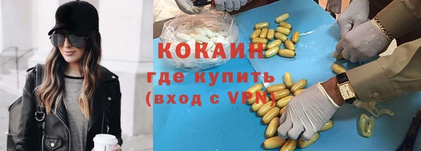 хмурый Аркадак