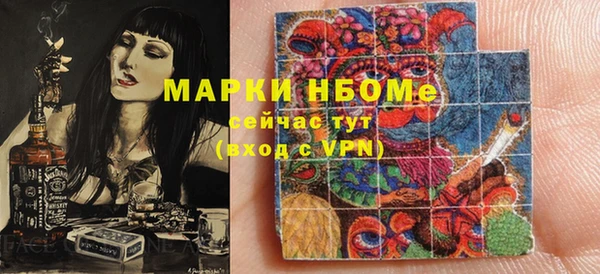 хмурый Аркадак