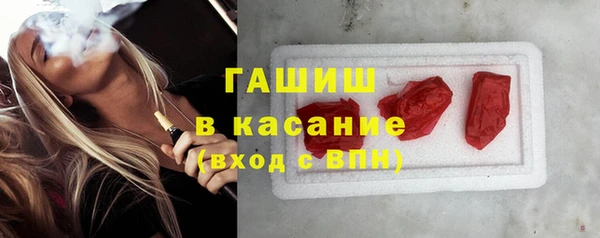 хмурый Аркадак