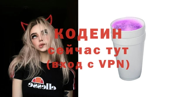 хмурый Аркадак