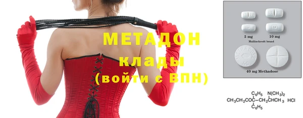 хмурый Аркадак