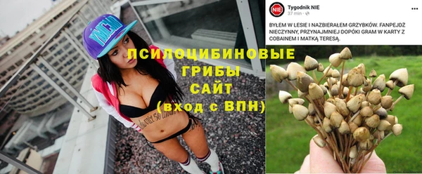 прущая мука Арсеньев