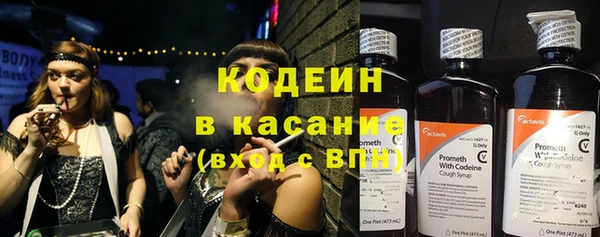 хмурый Аркадак