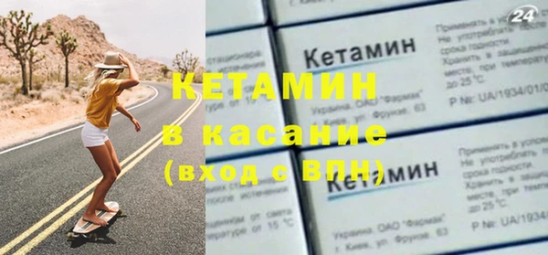 хмурый Аркадак
