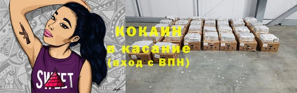 хмурый Аркадак